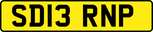 SD13RNP