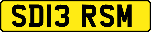 SD13RSM