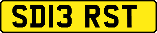 SD13RST