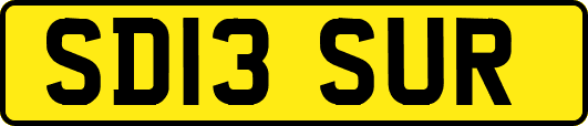 SD13SUR