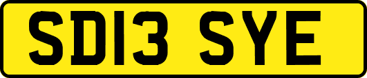 SD13SYE