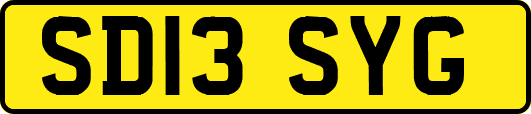 SD13SYG