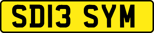SD13SYM