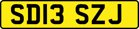 SD13SZJ