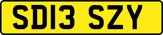 SD13SZY