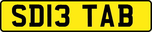 SD13TAB