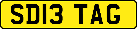 SD13TAG