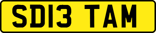 SD13TAM