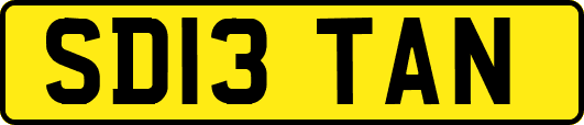 SD13TAN