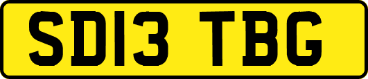 SD13TBG