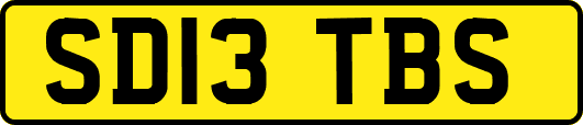 SD13TBS