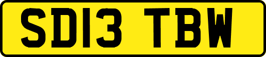 SD13TBW