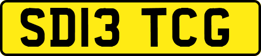 SD13TCG