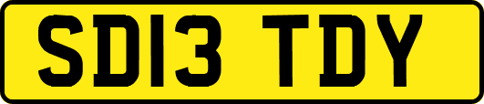 SD13TDY