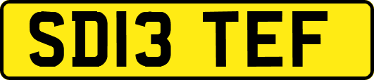SD13TEF