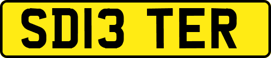 SD13TER