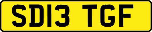 SD13TGF