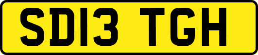 SD13TGH