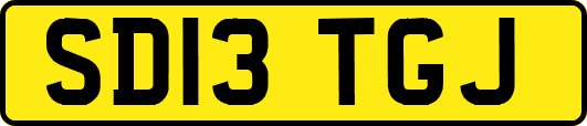 SD13TGJ