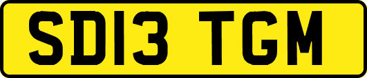SD13TGM