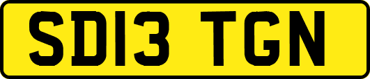 SD13TGN
