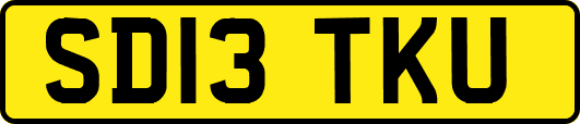 SD13TKU