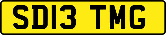 SD13TMG