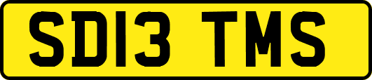 SD13TMS