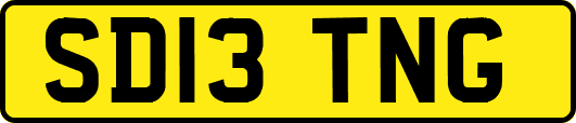 SD13TNG