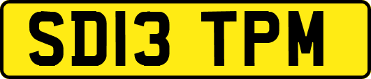 SD13TPM