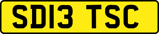 SD13TSC