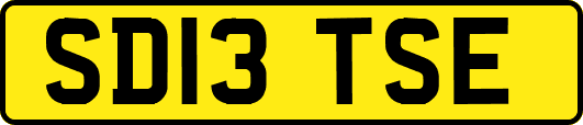 SD13TSE
