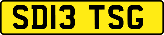 SD13TSG