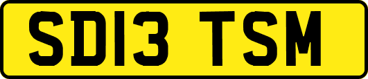 SD13TSM