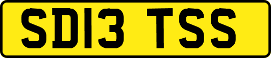 SD13TSS