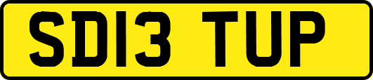 SD13TUP
