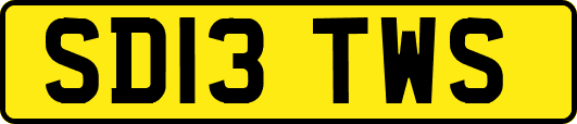 SD13TWS