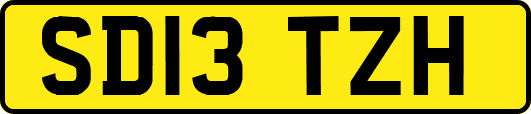 SD13TZH