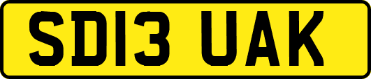 SD13UAK