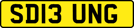 SD13UNG