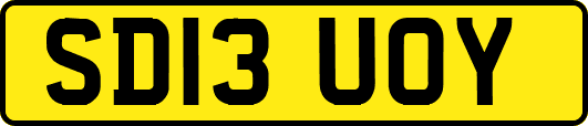 SD13UOY