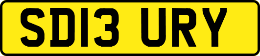 SD13URY