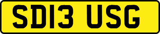 SD13USG