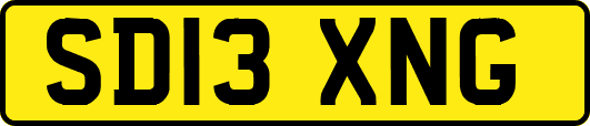 SD13XNG