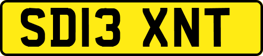 SD13XNT