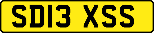 SD13XSS