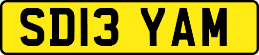 SD13YAM