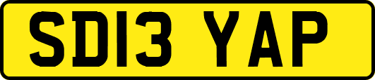 SD13YAP