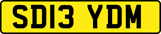 SD13YDM