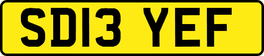 SD13YEF
